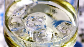 Când se pune gheață în vin. Tipuri de vin, temperatura optimă, sfaturi pentru degustători