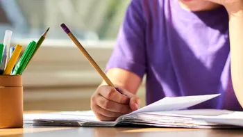 Cât au ajuns să câștige profesorii din meditații în 2024. Suma reală ar fi, de fapt, mult mai mare decât cea declarată la ANAF: „Cel puțin dublă”