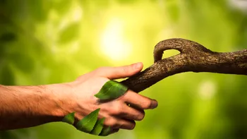 Cuvintele prin care oamenii descriu natura dispar rapid, arată un studiu. Ce se întâmplă cu conexiunea „om-natură”?