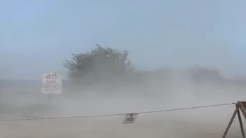 Furtună puternică pe litoralul românesc: rafale de peste 70 km/h în Mamaia și Constanța