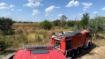 Incendiu de vegetație în apropiere de Delta Văcărești. Un bărbat a fost transportat la spital