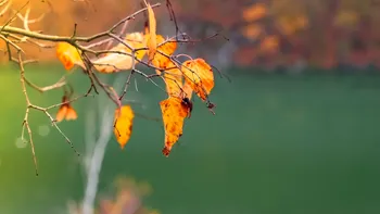 Meteorologii AccuWeather anunţă o lună septembrie cum nu a mai fost de ani de zile. Frigul pune stăpânire pe România chiar din primele zile