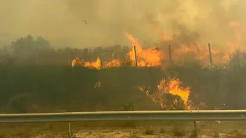 Românii din Lefkada se întorc acasă. Incendiile au pus stăpânire pe insula grecească: 
