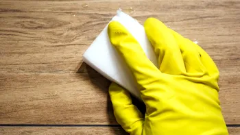 Studiu alarmant: bureții de vase eliberează milioane de microplastice și pun în pericol sănătatea și mediul. Cum te ferești