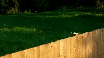 Când te poate obliga primăria să dărâmi sau să muţi gardul? Situaţiile de care se lovesc mereu românii care stau la casă