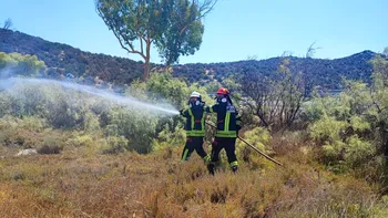 Incendii de amploare în Giurgiu și Mehedinți: zeci de hectare cuprinse de flăcări, intervenție masivă a pompierilor pentru protejarea gospodăriilor și a depozitelor