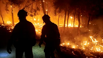 Un român a murit în incendiile de vegetație din Spania. Bărbatul lucra la un centru ecvestru care a fost cuprins de flăcări