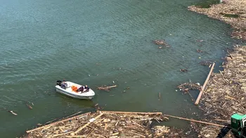 Stare de alertă în Neamț după inundații: râul Bistrița, plin de deșeuri. Autoritățile investighează posibila contaminare biologică