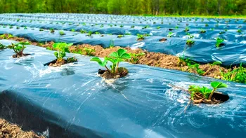Plasticul în agricultură, relația dintre util și nociv: sateliții arată suprafețe imense acoperite cu folie