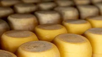 Buricul de caşcaval, o poveste începută în comunism de către muncitorii de la fabrica de lactate din Săveni. Puţini ştiu de ce se numeşte aşa produsul unic în lume