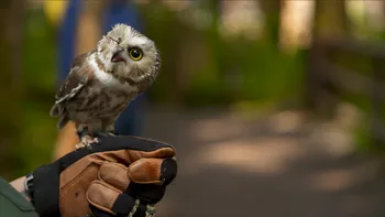 Premiere în octombrie la National Geographic și Nat Geo Wild: istorie, adrenalină și natură la superlativ