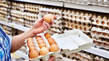 Alertă alimentară. Kaufland și Mega Image retrag de la vânzare loturi de ouă bio contaminate cu Salmonella Typhimurium