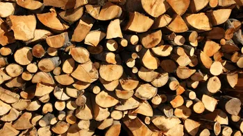 Cum şi unde se depozitează lemnele de foc pentru a nu se umezi: aşa vor arde corect în sobă