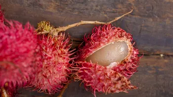 Ce gust are rambutan? Fructul exotic asemănător litchi, dar cu aromă proprie