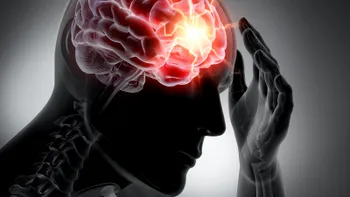 Celulele stem ar putea repara leziunile cerebrale provocate de accident vascular cerebral, conform unui nou studiu