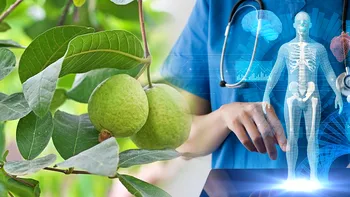 Fructul tropical care conține o moleculă secretă ce ar putea lupta împotriva cancerului