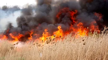 Incendiu puternic lângă Ploiești: 80 de hectare cuprinse de flăcări, fum dens vizibil de la kilometri