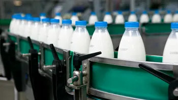Investiție de 25 de milioane de euro, într-un proiect 100% românesc. Povestea omului de afaceri care încă mai crede în oportunitățile din România