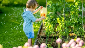 Plante toxice pentru copii: ce specii din casele și grădinile din România pot fi periculoase