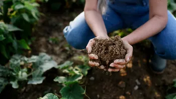 Agricultura regenerativă câștigă teren în Europa: soluție pentru criza climatică și viitorul fermelor