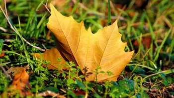 Când vine frigul în România? Trecem rapid de la vară, la temperaturi aproape de îngheţ