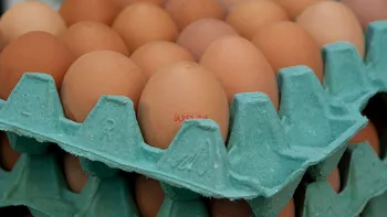 Ouă retrase din supermarketurile Kaufland și Mega Image. Este risc de îmbolnăvire cu Salmonella