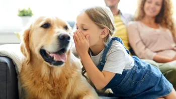 Comunicarea dintre oameni și animale, mai aproape de realitate ca niciodată. Cum ajută inteligența artificială să înțelegem ce vor „necuvântătoarele” să ne transmită