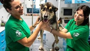 INTERVIU cu Delia Darabană de la Adăpostul Speranța: „Cea mai mare satisfacție în munca mea cu animalele este că fiecare zi aici îmi umple sufletul. Este terapeutic”