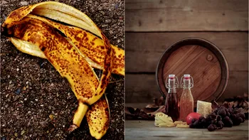 Coajă de banană și oțet, combinația naturală cu beneficii surprinzătoare pentru casă și grădină. La ce se foloseşte amestecul?