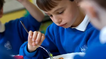 Ministerul Educației, anunţ despre Programul Național „Masă sănătoasă”, înainte de începerea şcolii. Mulţi elevi depind de mâncarea primită în clasă