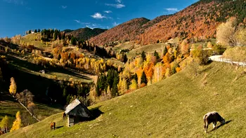 Cele mai frumoase locuri din România toamna. Frunzele arămii, aerul curat și liniștea naturii, punctele forte
