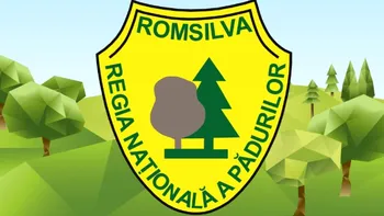 13 directori Romsilva au încasat bonusuri de pensionare de un milion de euro în doi ani. Instituţia urmează să fie reorganizată
