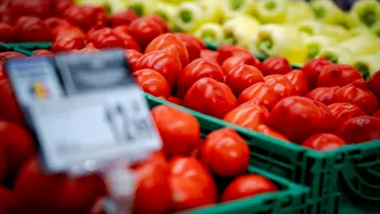 Meniul românilor pe timp de vară, între sezonalitate și produse locale. Ce înseamnă gustul de sezon în România, conform experților