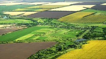 Ajutor de 10.000 de euro pentru fiecare hectar de pământ arabil. Românii primesc și o subvenție anuală pe 12 ani dacă vor să-și transforme câmpul în pădure