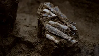 Trusă de unelte veche de 30.000 de ani, descoperită în Cehia, dezvăluie viața unui vânător-culegător din epoca de piatră