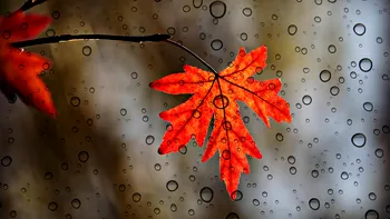 Vremea se strică brusc, în România. Meteorologii anunţă o răcire accentuată a temperaturilor