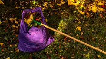 Amendă de până la 3.000 de lei pentru gunoiul din curte. Orice vecin te poate reclama