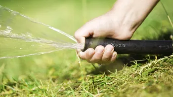 Când să oprești udarea gazonului toamna ca să revină sănătos primăvara
