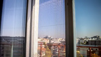 Cum cureți grăsimea de pe plasele de la geam: trucuri simple și soluții practice din bucătărie