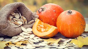 Cum să transformi resturile de dovleac în îngrășământ natural, potrivit experților în grădinărit