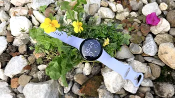 REVIEW Pixel Watch 4 - ceasul inteligent de la Google care îți face viața mai ușoară cu Gemini și te ajută să te concentrezi pe ce contează