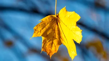 Vom avea un final de săptămână cu temperaturi de vară, de până la 24 de grade. Anunțul ANM