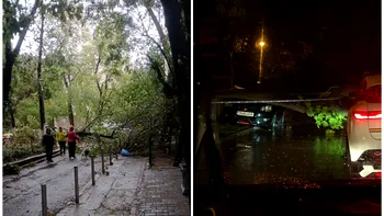 Vântul extrem de puternic a făcut daune uriașe în București și Ilfov. Bilanțul pagubelor în urma codului portocaliu