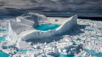 Forme de viață neașteptate descoperite sub gheața Arcticii: Cum ar putea schimba modelele climatice