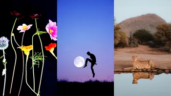 Imagini spectaculoase premiate la 1839 Photography Awards: natura, emoția și umanitatea surprinse în detaliu