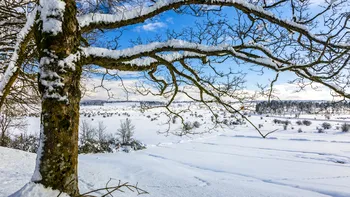 Ce aduce fenomenul La Nina, la final de 2025? Anunţul meteorologilor despre iarna aceasta