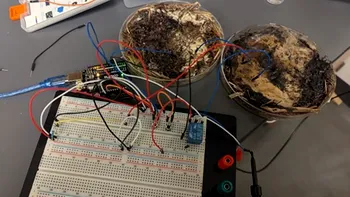 Cercetătorii au construit o memorie de computer funcțională din ciuperci: „Viitorul informaticii ar putea fi fungic”