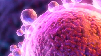 Ovule funcționale obținute din celule de piele: un pas uriaș pentru tratarea infertilității, conform cercetătorilor