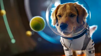 OpenAI extinde Sora: aplicația AI va permite apariții cameo cu animalele de companie și va ajunge în curând pe Android