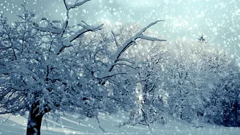 Temperaturi cum nu am mai avut de ani buni în iarna 2025–2026. Meteorologii spun că ar putea fi cea mai geroasă din ultimul deceniu
